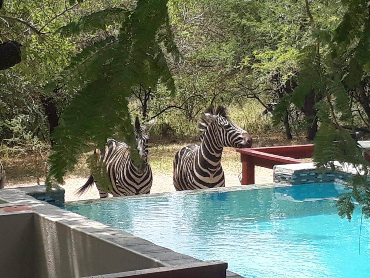 Turaco Lodge - No Loadshedding Marloth Park Exterior foto