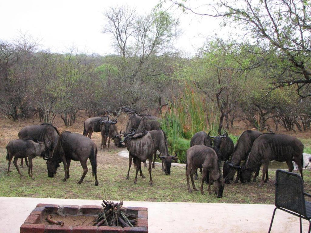 Turaco Lodge - No Loadshedding Marloth Park Exterior foto