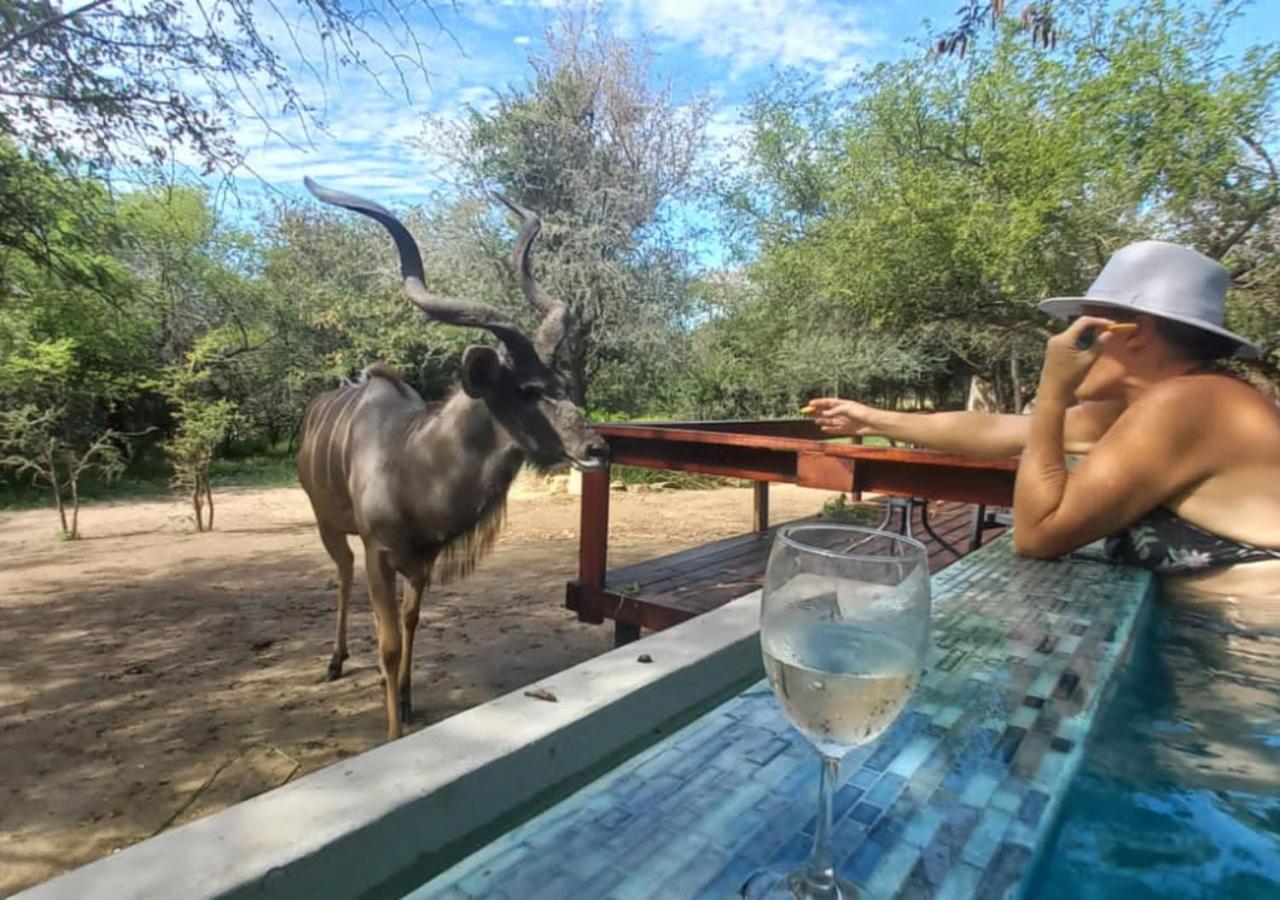 Turaco Lodge - No Loadshedding Marloth Park Exterior foto